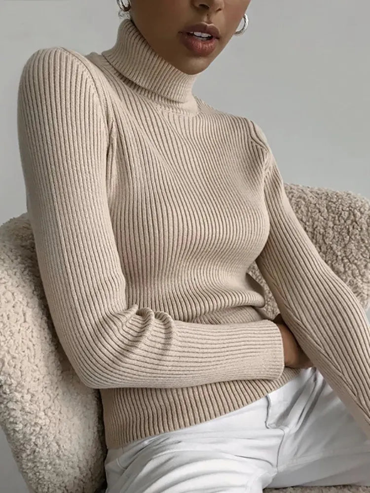 Knitted Turtleneck Sweater